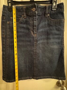 Ann Taylor Dark Denim Jean Skirt